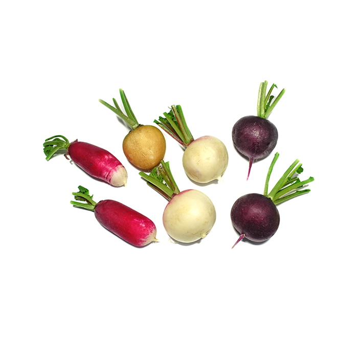 Atıştırmalık Mini Fındık Turp